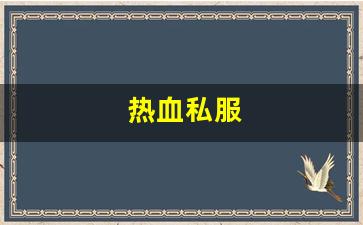 热血私服(热血 sfc)