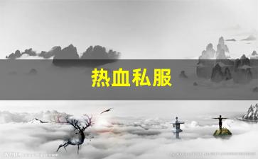 热血私服(热血官方) (2)