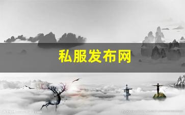 私服发布网(手游私sf平台) (2)